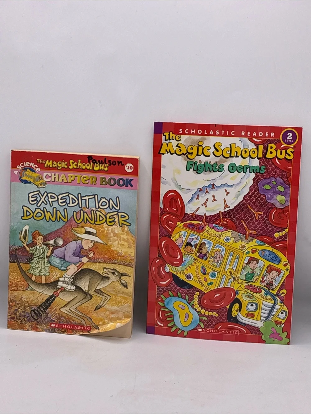 Scholastic The Magic School Bus Book Lot
